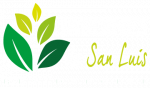 Logo-jsl-light